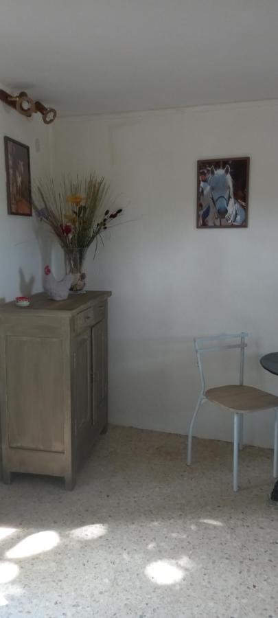 Petite Maison Dans La Campagne A 10 Mn A Pied Du Centre Ville Arles Bagian luar foto