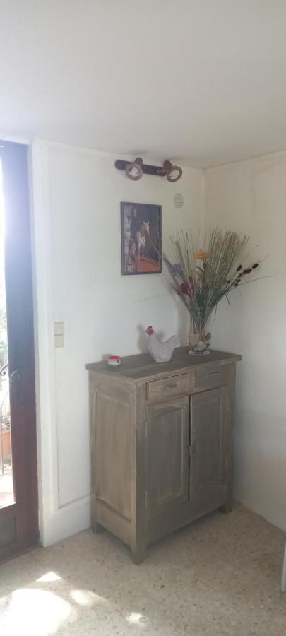 Petite Maison Dans La Campagne A 10 Mn A Pied Du Centre Ville Arles Bagian luar foto